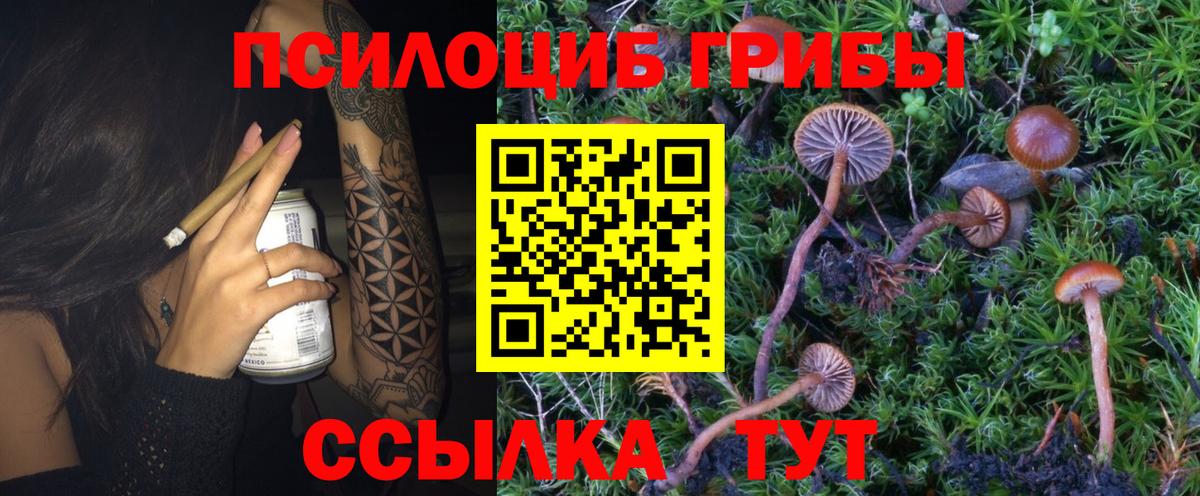 Галлюциногенные грибы ЛСД Сибай